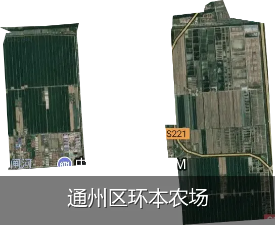 通州区环本农场